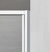 Душевая дверь Radaway Evo DW 120 купить в интернет-магазине Sanbest