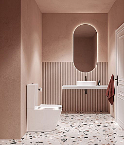 Унитаз Ravak Elegant X01872 белый, с крышкой микролифт, с бачком купить в интернет-магазине Sanbest