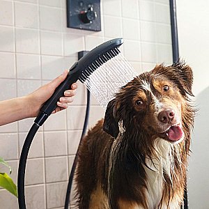 Душевая лейка для собак Hansgrohe DogShower 26640670 черный матовый купить в интернет-магазине сантехники Sanbest
