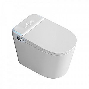 Унитаз-биде приставной ABBER Bequem AC1117S электронный, импульсный смыв, с крышкой микролифт купить в интернет-магазине Sanbest