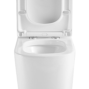 Напольный унитаз-компакт Black&White Gravity 6610W безободковый, слив-торнадо, с крышкой микролифт, с бачком, белый глянцевый купить в интернет-магазине Sanbest