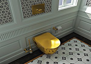 Унитаз подвесной с функцией биде CREAVIT Terra TP325-00CB00E золото/белый купить в интернет-магазине Sanbest