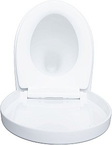 Унитаз подвесной Aquanet ZV-1 белый с крышкой микролифт, безободковый, слив-торнадо купить в интернет-магазине Sanbest