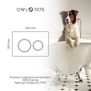 Кнопка для инсталляции OWL 1975 Titan Knapp03TWM белая матовая купить в интернет-магазине сантехники Sanbest