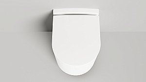 Унитаз подвесной Salini Gemelli 240121KMF из искусственного камня S-Stone, безободковый, с крышкой микролифт, RAL снаружи купить в интернет-магазине Sanbest