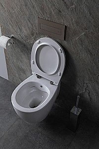 Унитаз Allen Brau Fantasy 4.11HC1.20 безободковый, с крышкой микролифт, белый купить в интернет-магазине Sanbest