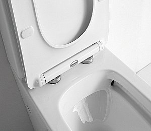 Унитаз напольный Ceramalux TR2170 белый, с крышкой микролифт, слив торнадо купить в интернет-магазине Sanbest