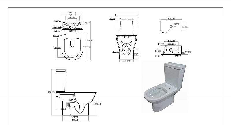 Унитаз-компакт Bravat NEW MOON CX2164W с бачком, с крышкой микролифт купить в интернет-магазине Sanbest