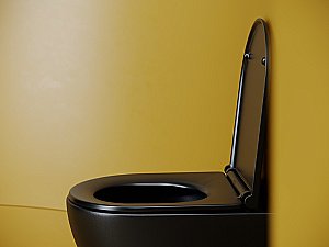 Унитаз подвесной Ceramica Nova Vogue CN4008TMB черный матовый, с крышкой микролифт, безободковый, слив-торнадо купить в интернет-магазине Sanbest