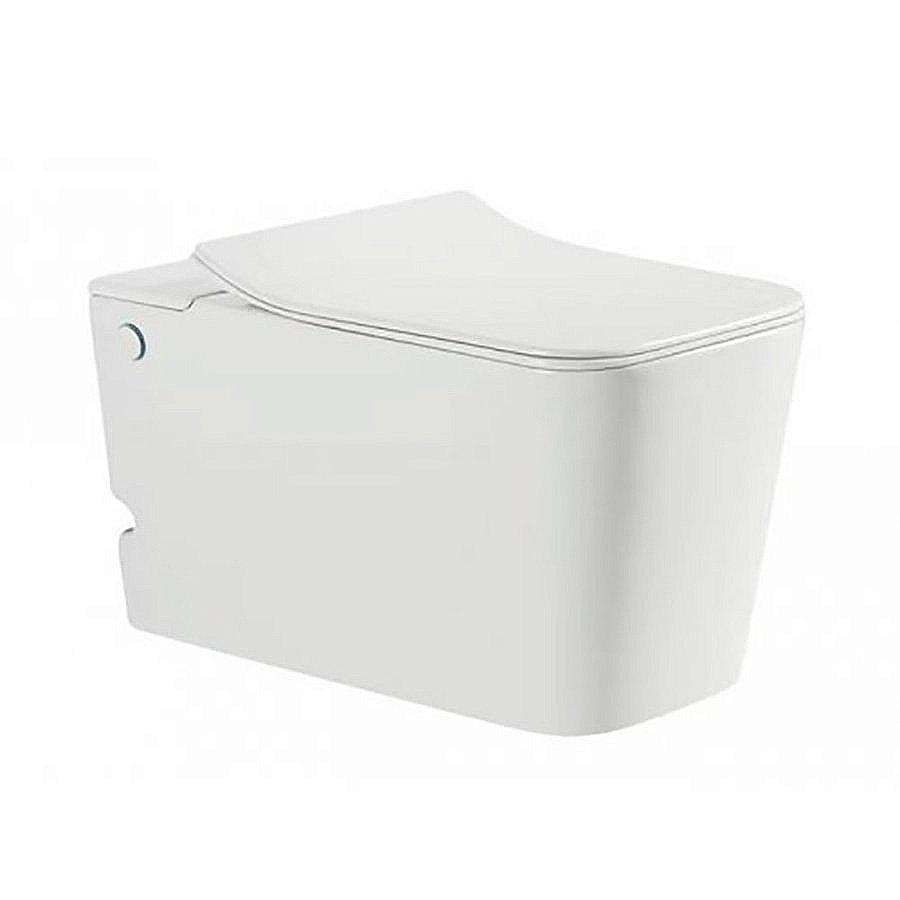 Унитаз подвесной SantiLine Selin SL-5032 безободковый, с крышкой микролифт, белый купить в интернет-магазине Sanbest