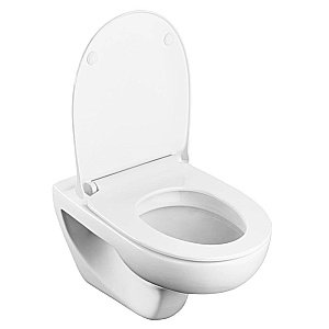 Унитаз подвесной Roca Victoria 34639300Y безободковый купить в интернет-магазине Sanbest