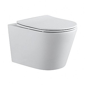 Унитаз подвесной River Ontario 485 WT 10000013696 белый, безободковый, с крышкой микролифт, слив торнадо купить в интернет-магазине Sanbest