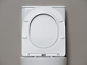 Унитаз напольный Ceramica Nova Highlight CN1802T-B/CN1802T-T белый, безободковый, с крышкой микролифт, слив торнадо купить в интернет-магазине Sanbest