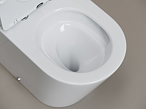 Унитаз напольный Ceramica Nova Highlight CN1802T-B/CN1802T-T белый, безободковый, с крышкой микролифт, слив торнадо купить в интернет-магазине Sanbest