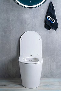 Унитаз приставной Gid TRS-263 белый, с крышкой микролифт, безободковый купить в интернет-магазине Sanbest