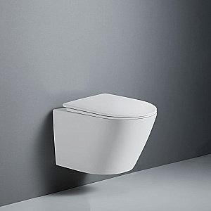 Унитаз подвесной RGW SW-51 80420251-01 белый, безободковый, с крышкой микролифт, слив-торнадо купить в интернет-магазине Sanbest