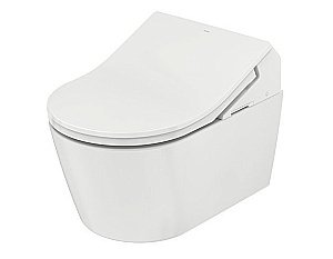 Унитаз подвесной TOTO RP/WASHLET TOILET CW542EY безободковый, слив торнадо купить в интернет-магазине Sanbest