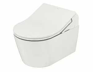 Унитаз подвесной TOTO RP/WASHLET TOILET CW542EY безободковый, слив торнадо купить в интернет-магазине Sanbest