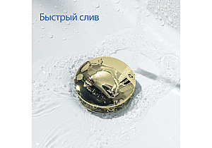 Донный клапан Aquatek AQ6002PG золото полированное купить в интернет-магазине сантехники Sanbest