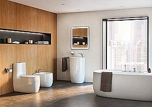 Унитаз подвесной Roca Beyond 3460B7000 безободковый купить в интернет-магазине Sanbest