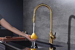 Смеситель для кухни Paulmark Universal Un213880-BG брашированное золото купить в интернет-магазине сантехники Sanbest