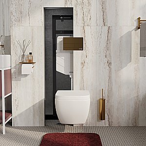 Инсталляция для унитаза WasserKraft Dinkel 58TLT.010.ME.MG04 с кнопкой матовое золото купить в интернет-магазине сантехники Sanbest