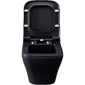 Унитаз подвесной Allen Brau Infinity 2 4.21011.AN антрацит матовый, безободковый купить в интернет-магазине Sanbest