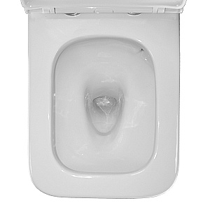 Унитаз напольный Azario Mari AZ-79143T белый, безободковый, с бачком, с крышкой микролифт, слив торнадо купить в интернет-магазине Sanbest