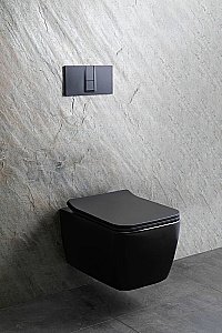 Унитаз подвесной Allen Brau Liberty 2 4.33007.31 черный матовый, безободковый купить в интернет-магазине Sanbest