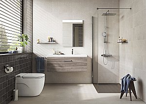 Унитаз приставной Roca Meridian In-Tank 893303000 с крышкой микролифт купить в интернет-магазине Sanbest