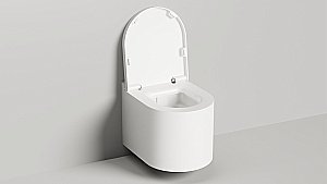 Унитаз подвесной Salini Gemelli 240121KMF из искусственного камня S-Stone, безободковый, с крышкой микролифт, RAL снаружи купить в интернет-магазине Sanbest