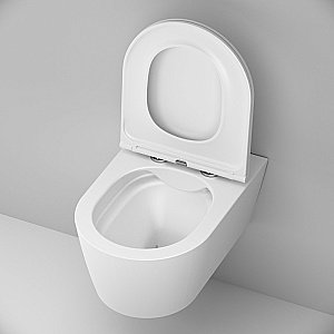 Унитаз подвесной AM.PM Func C8F1701MWSC белый матовый, безободковый купить в интернет-магазине Sanbest