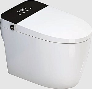 Унитаз приставной с функцией биде SantiLine SL-5034 белый, слив торнадо, безободковый, с крышкой микролифт купить в интернет-магазине Sanbest