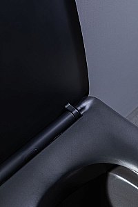 Унитаз подвесной Aquanet Rimless Tavr-W BL-103N-WHT black черный матовый, с крышкой микролифт, безободковый купить в интернет-магазине Sanbest