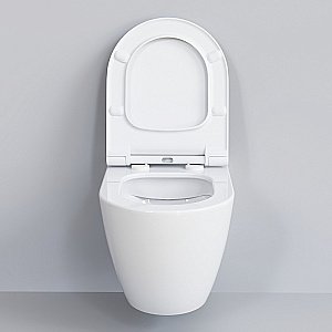 Унитаз Ambassador Queen 113T20001R-112T20001S белый, безободковый, с крышкой микролифт купить в интернет-магазине Sanbest