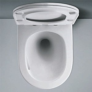 Унитаз подвесной RGW SW-52 80420252-01 белый, безободковый, с крышкой микролифт, слив-торнадо купить в интернет-магазине Sanbest