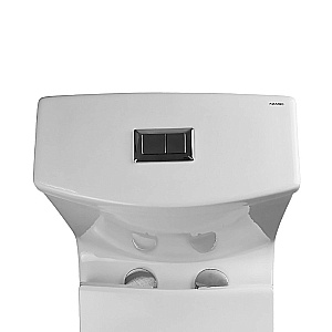 Унитаз моноблок Azario Bais AZ-5003 белый, безободковый, с крышкой микролифт купить в интернет-магазине Sanbest