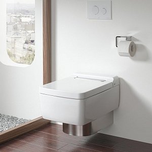 Унитаз подвесной TOTO SG/WASHLET TOILET CW512YR купить в интернет-магазине Sanbest