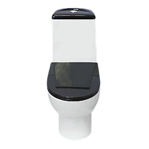 Унитаз-компакт Sanita luxe Best Comfort BSTSLCC06100522 с бачком, с крышкой микролифт, белый/черный купить в интернет-магазине Sanbest