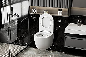 Унитаз подвесной ABBER Bequem AC1100MW с крышкой микролифт, безободковый, белый матовый купить в интернет-магазине Sanbest