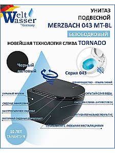 Унитаз подвесной WeltWasser MERZBACH 043 MT-BL черный матовый, безободковый, с крышкой микролифт, слив-торнадо купить в интернет-магазине Sanbest