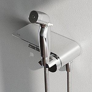 Гигиенический душ AM.PM Func F0H8F900 хром купить в интернет-магазине сантехники Sanbest