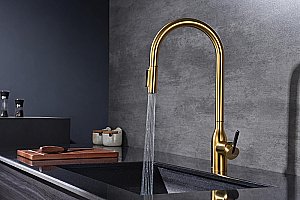 Смеситель для кухни Paulmark Universal Un213880-BG брашированное золото купить в интернет-магазине сантехники Sanbest