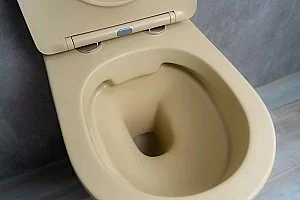 Унитаз подвесной Gid Sr2198 светло-коричневый матовый, с крышкой микролифт, безободковый купить в интернет-магазине Sanbest