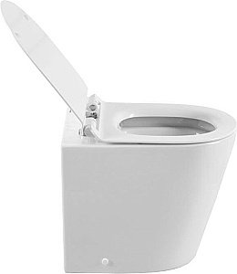 Приставной унитаз Aquanet Rimless Atago-F BL-104N-FST с крышкой микролифт, безободковый купить в интернет-магазине Sanbest