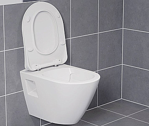 Унитаз Ravak ENDO X01933 белый, безободковый купить в интернет-магазине Sanbest