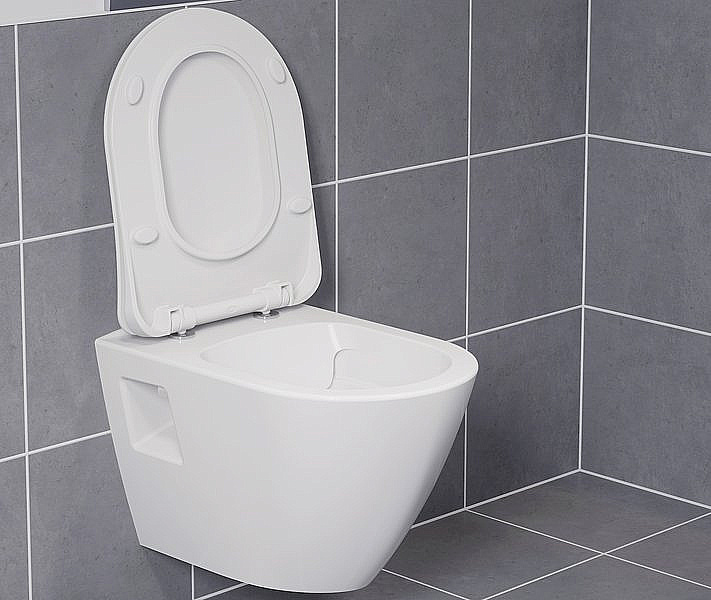 Унитаз Ravak ENDO X01933 белый, безободковый купить в интернет-магазине Sanbest