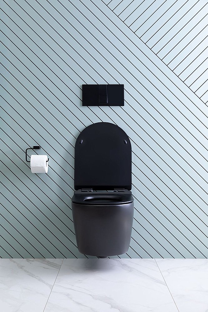 Унитаз подвесной Aquanet Rimless Cetus-BW BL-102N-WHT с крышкой микролифт, безободковый купить в интернет-магазине Sanbest