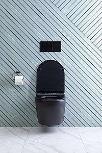 Унитаз подвесной Aquanet Rimless Cetus-BW BL-102N-WHT с крышкой микролифт, безободковый купить в интернет-магазине Sanbest