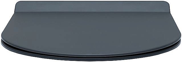 Унитаз подвесной Aquanet Rimless Cetus-GW BL-102N-WHT серый с крышкой микролифт, безободковый купить в интернет-магазине Sanbest